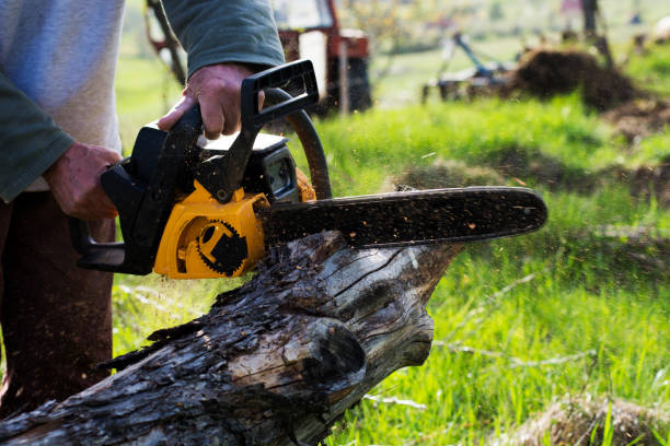 Best Lawn Pest Prevention  in Pasadena, MD